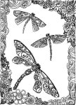 Dragonflies (image for) Dragonflies